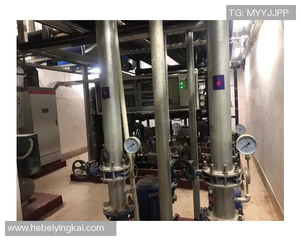 冰雪器材检查结果分析与安全使用建议报告