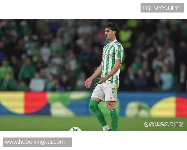 热刺以4000万欧元成功引进英格兰中场加拉格尔助力新赛季